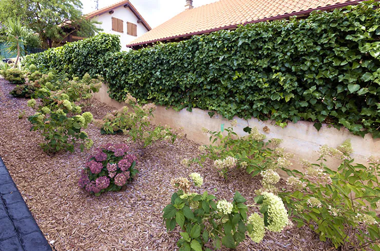 Diseño de jardines Diseño de jardines